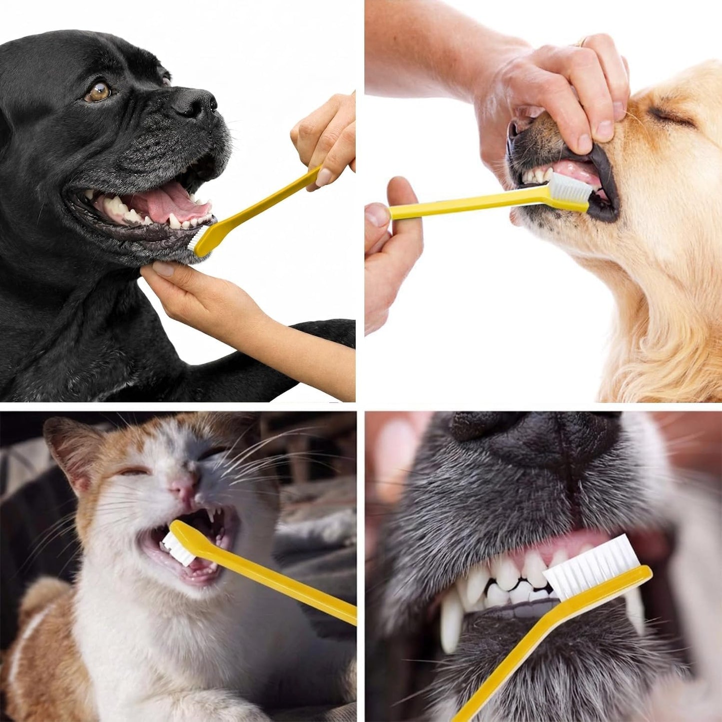 Dog Toothbrush Set of 6 – Dual Headed Dental Hygiene Brushes for Small to Large Dogs, Cats, and Most Pets