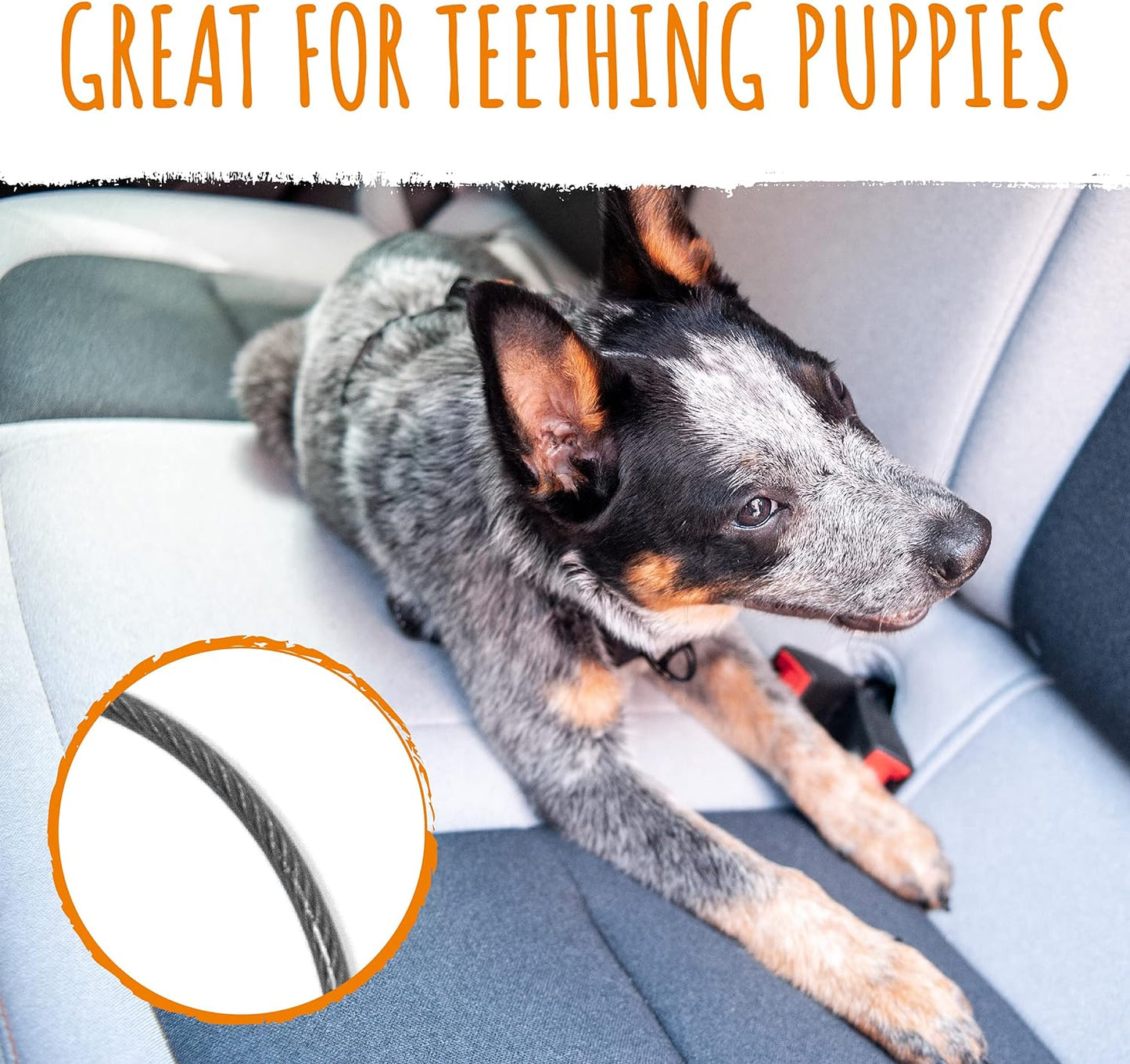 Dog Seat Belt - Chew-Proof Metal Safety Restraint - Steel Braided Vehicle Tether - Rock Climbers Carabiner Included - Pet Car Leash Seat Belts - Dogs Car Safety Harness -Black, 60Cm