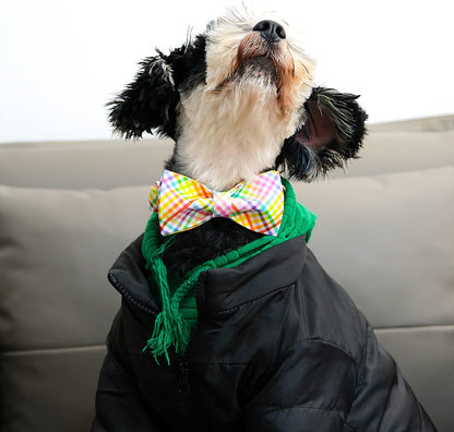 Easter Dog Collar with Bowtie - Colorful Cute Cotton Bowtie Dog Collar with Metal Buckle for Large Dog Girl Boy, L, Neck 16-24In