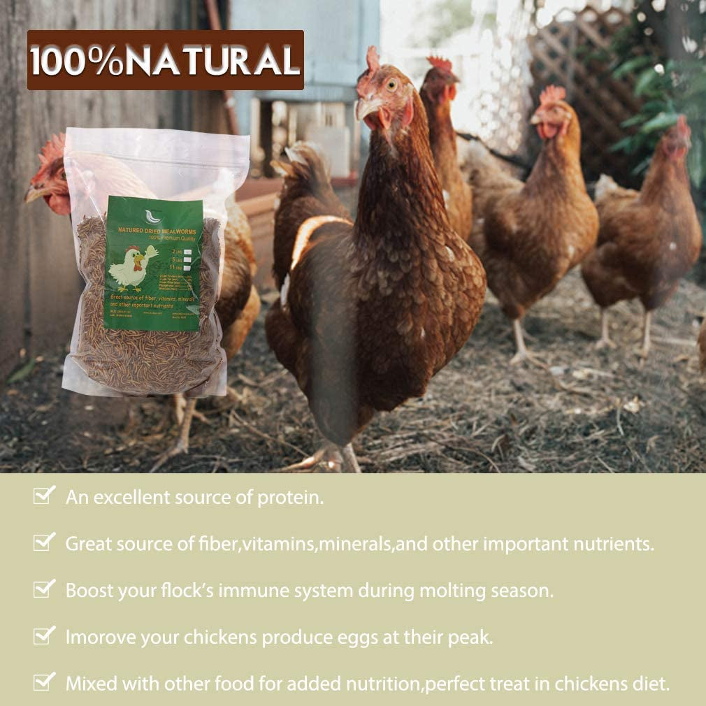 Non-Gmo Dried Mealworms,2Lb 100% Natural Large Size No Moisture,Treats for Birds Chickens Hedgehog Hamster Fish Reptile Turtles