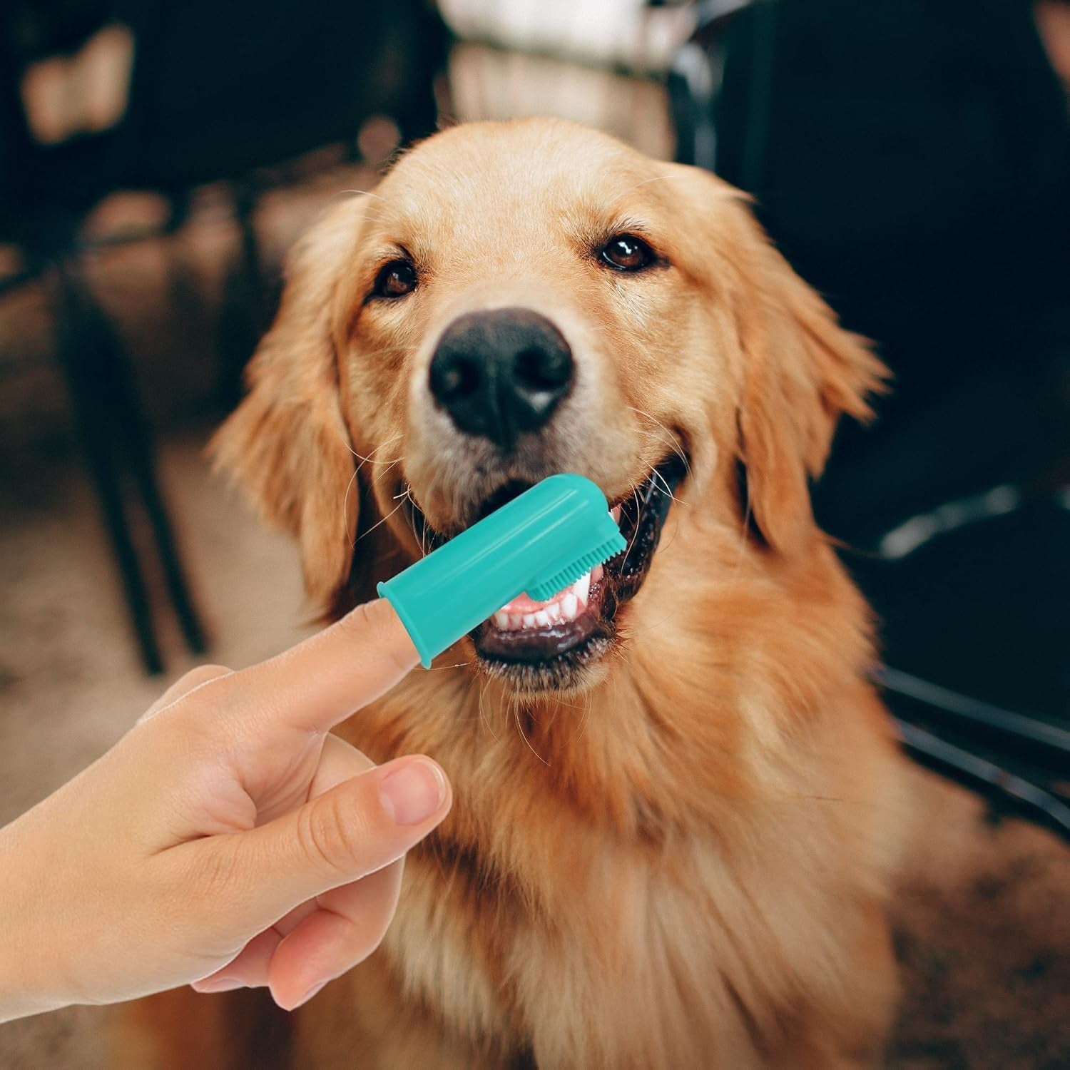 Dog Finger Toothbrushes - Professional Pet Finger Dental Brush Set for Dogs Puppies Cats, Soft Bristles, Size Small 4 Count-Silicon
