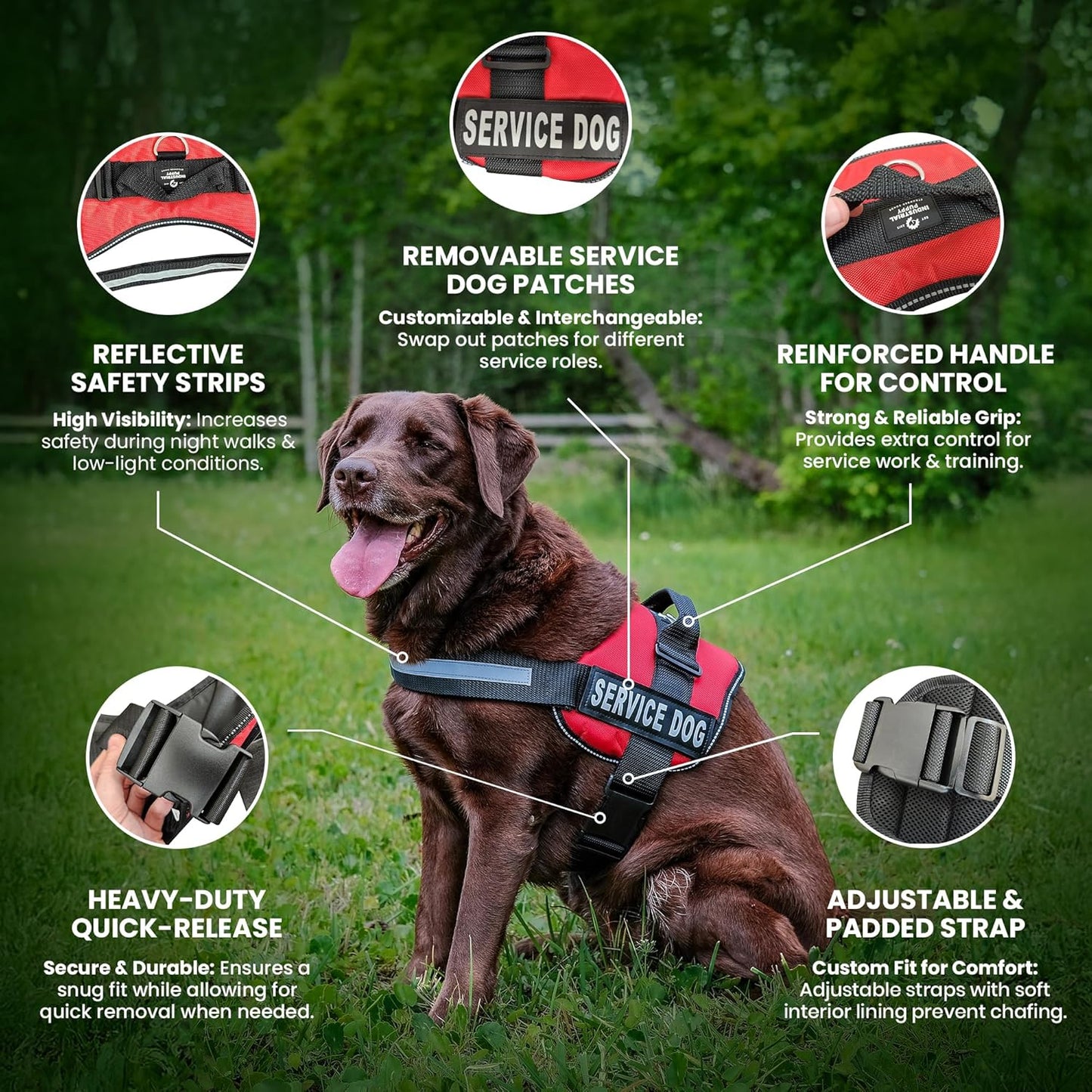 Emotional Support Vest Harness - Durable and Adjustable Dog Vest with Reflective Straps, Removable Patches, Handle & D-Ring, Travel and Daily Use, Small 19.5-25" - Black