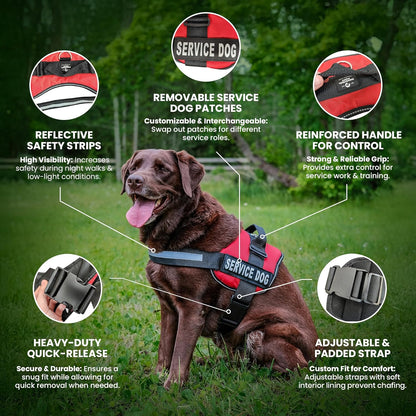 Emotional Support Vest Harness - Durable and Adjustable Dog Vest with Reflective Straps, Removable Patches, Handle & D-Ring, Travel and Daily Use, Small 19.5-25" - Black