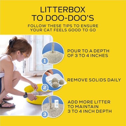 Lightweight 4-In-1 Strength Multi-Cat, Odor Control, Clumping, 99.9 Percent Dust Free Cat Litter - 17 Lb. Box