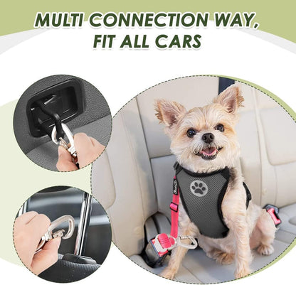 Dog Seatbelt, 2 Pack Dog Seat Belt Car Leash Adjustable Elastic Bungee Buffer Heavy Duty Nylon Reflective Pet Safety Tether Connect to Dog Harness for Travel Riding in Vehicle (Daul Clip, FL)