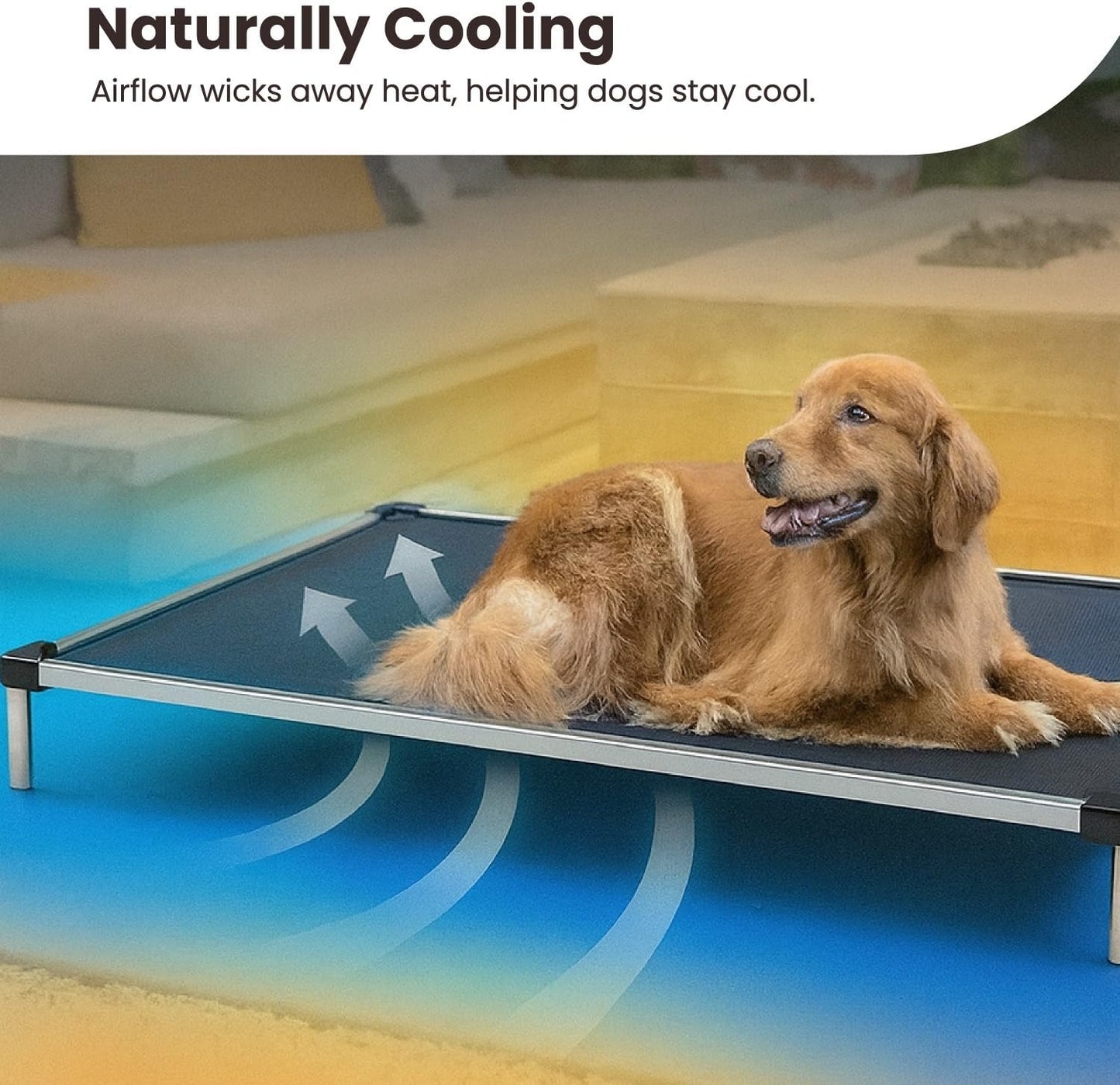 Chew Proof Elevated Cooling Dog Bed - Made for Aggressive Chewers, Virtually Indestructible, Ripstop Fabric with No Padding, Pre-Assembled - Small, Seasonal (Old) Black