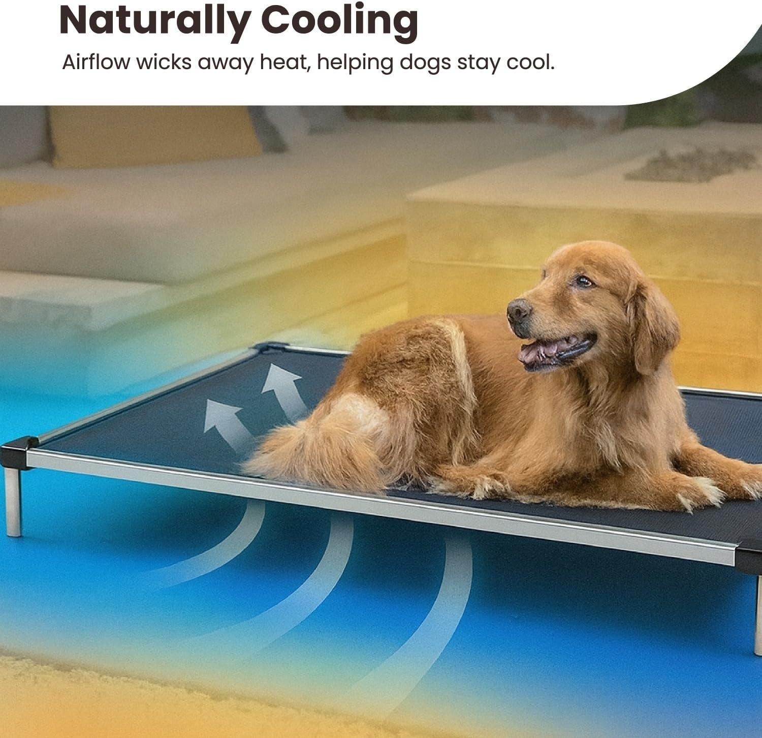Chew Proof Elevated Cooling Dog Bed - Made for Aggressive Chewers, Virtually Indestructible, Ripstop Fabric with No Padding, Pre-Assembled - Small, Seasonal (Old) Black