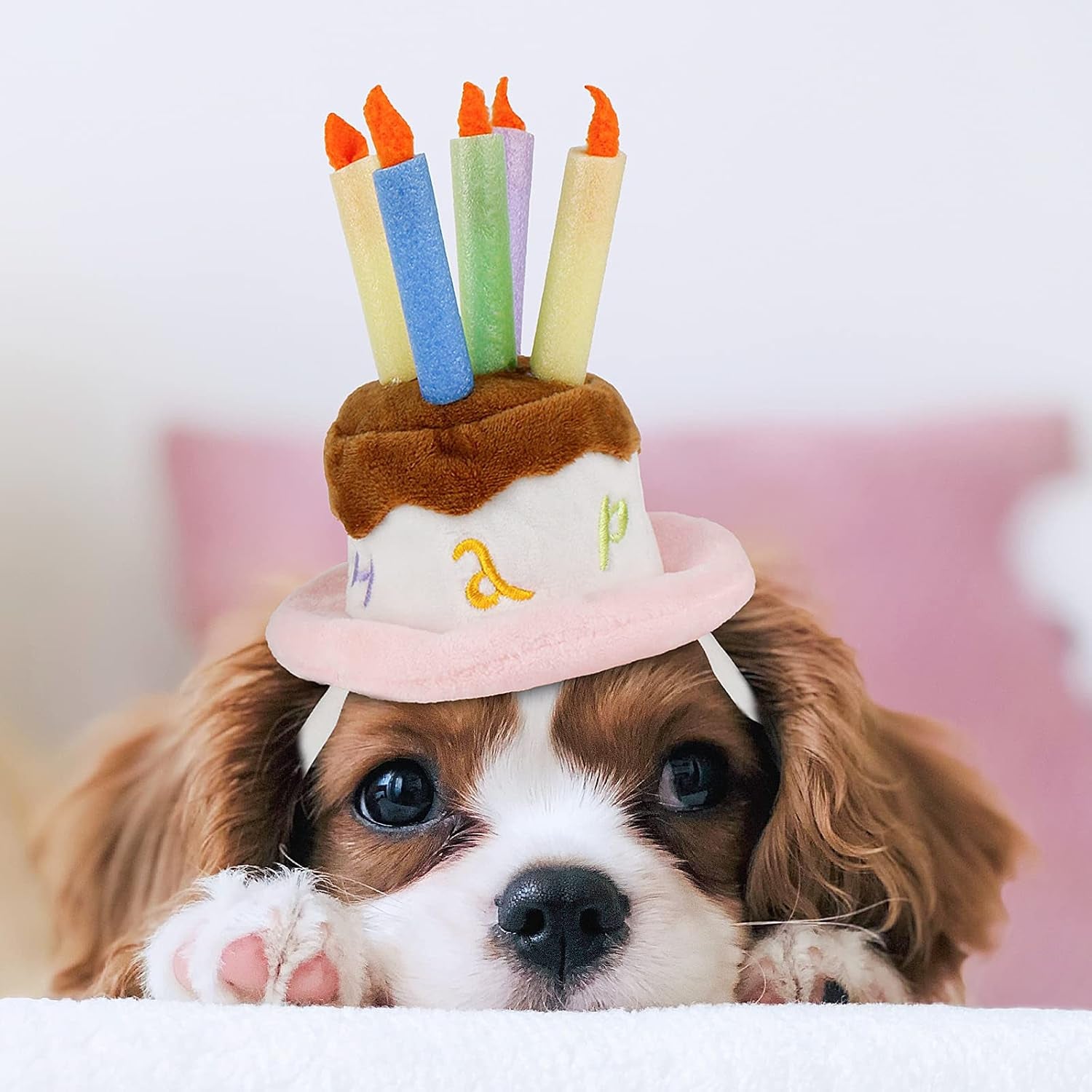 Cat Birthday Hat, Valentine Hat for Cats Small Dogs, Lucky Cat Birthday Cake Costume, Puppy Party Supplies, Small, Pink