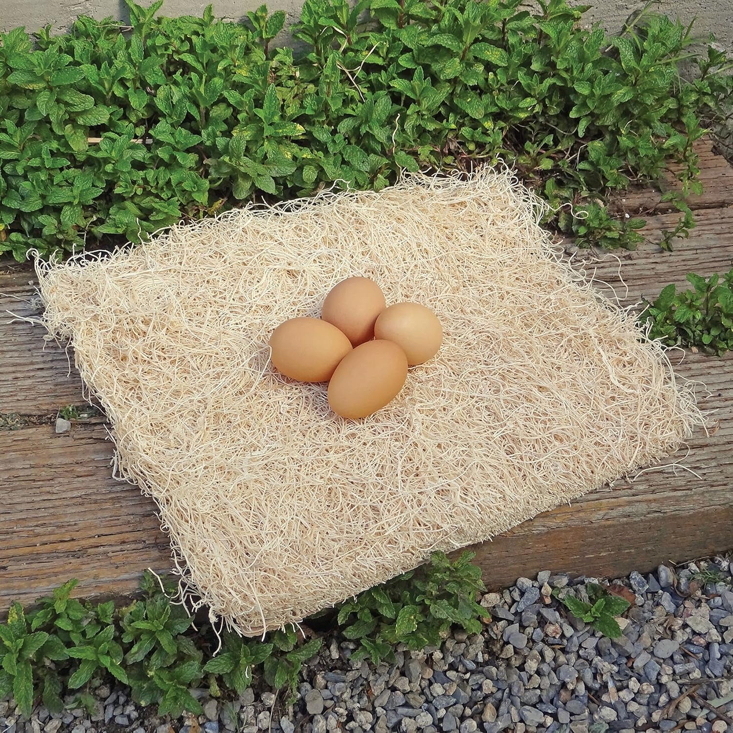 Chicken Nesting Pads by Petmate – 13” X 13” Premium Chicken Bedding Fit Most Nesting Boxes – 10 Pack,Beige, Made in USA