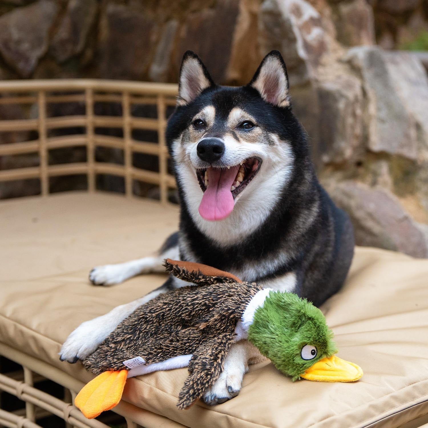Squeaky Dog Toys with Soft Durable Fabric for Small, Medium and Large Pets Interactive Toy for Indoor Play, Supports Active Biting and Play - 1Wild Duck, Alligator, Medium