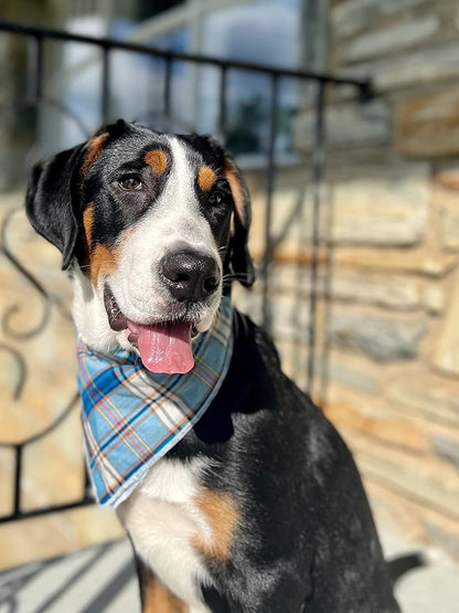 Dog Bandana for Small Medium Large Dogs, Cat Kerchief Blue Plaid, Triangle Bibs Scarf for Girl or Boy