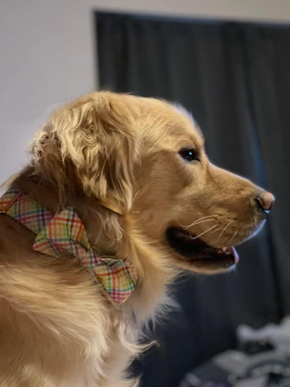 Easter Dog Collar with Bowtie - Colorful Cute Cotton Bowtie Dog Collar with Metal Buckle for Large Dog Girl Boy, L, Neck 16-24In