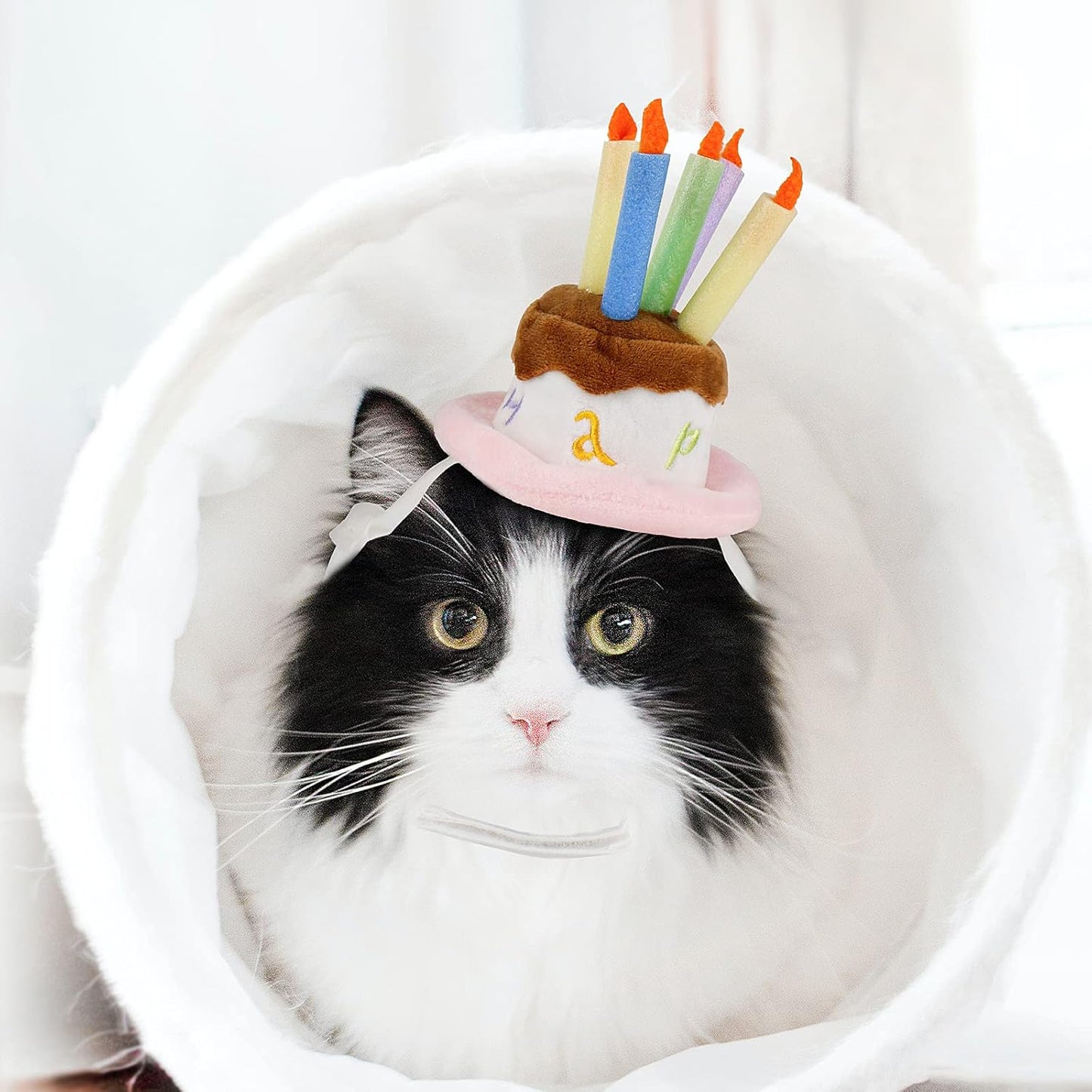 Cat Birthday Hat, Valentine Hat for Cats Small Dogs, Lucky Cat Birthday Cake Costume, Puppy Party Supplies, Small, Pink