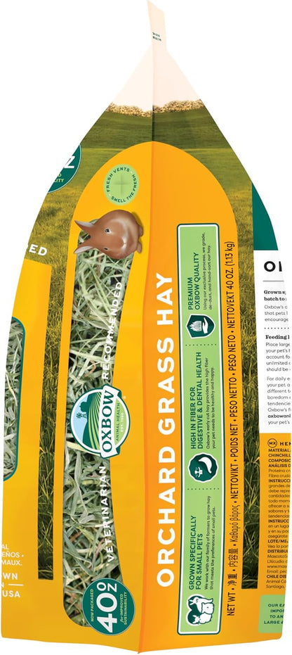 Orchard Grass Hay for Small Pets – All-Natural Long Strand Fiber Hay for Rabbits, Guinea Pigs, Chinchillas, and Hamsters – Supports Digestive Health and Enrichment – 40 Oz Bag