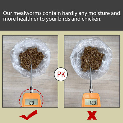 Non-Gmo Dried Mealworms,2Lb 100% Natural Large Size No Moisture,Treats for Birds Chickens Hedgehog Hamster Fish Reptile Turtles