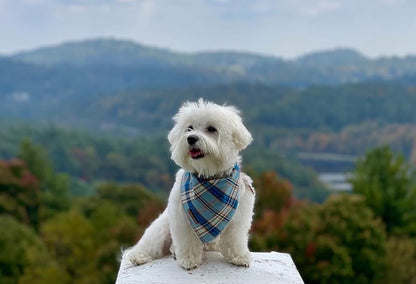 Dog Bandana for Small Medium Large Dogs, Cat Kerchief Blue Plaid, Triangle Bibs Scarf for Girl or Boy