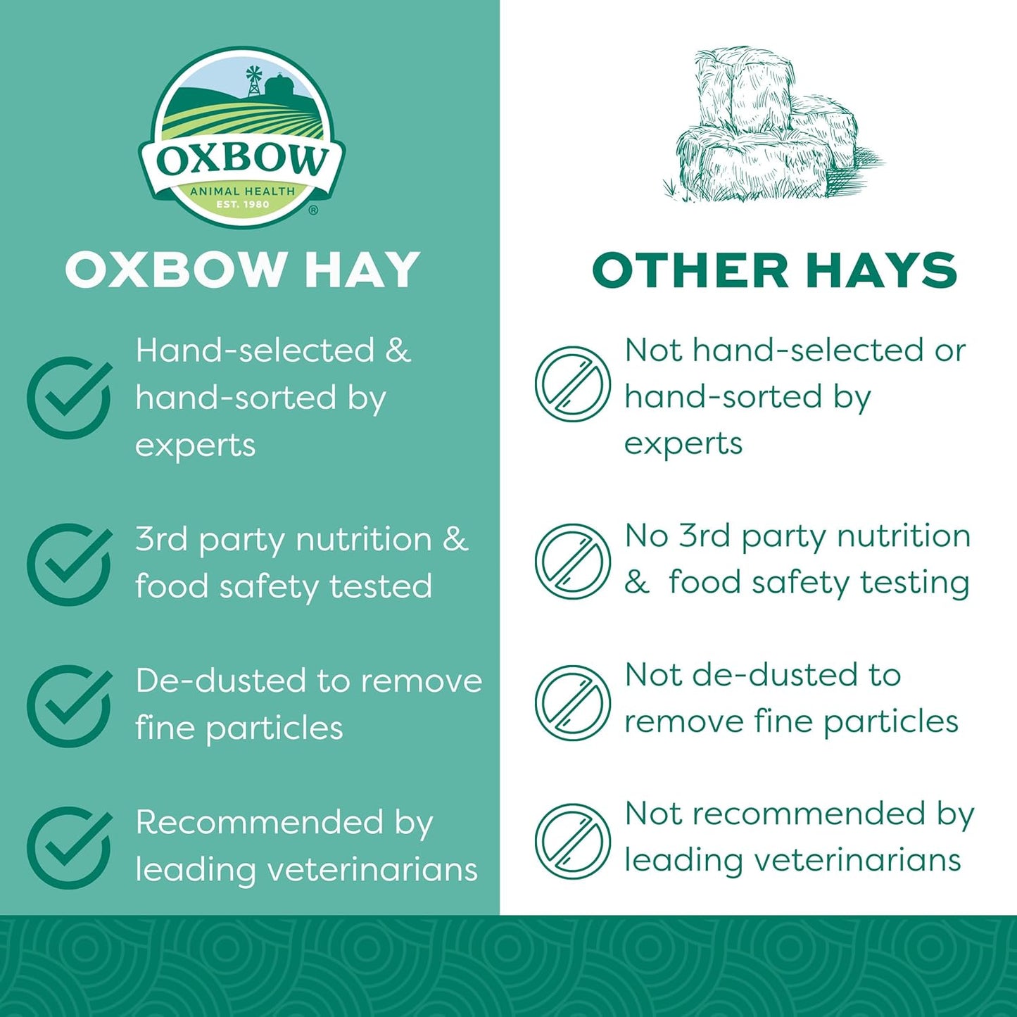 Orchard Grass Hay for Small Pets – All-Natural Long Strand Fiber Hay for Rabbits, Guinea Pigs, Chinchillas, and Hamsters – Supports Digestive Health and Enrichment – 40 Oz Bag