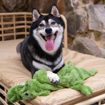 Squeaky Dog Toys with Soft Durable Fabric for Small, Medium and Large Pets Interactive Toy for Indoor Play, Supports Active Biting and Play - 1Wild Duck, Alligator, Medium