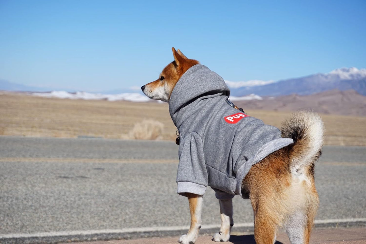 Pup Dog Hoodie & Sweater - Stylish Streetwear Cat & Puppy Cotton Sweatshirts in Gray - S, M, L