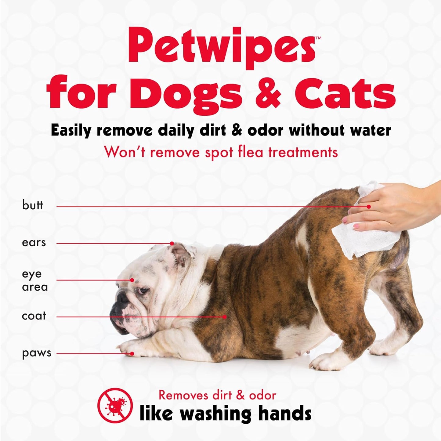 Pet Wipes for Dogs and Cats, 200 Large Wipes - Removes Dirt & Odor like Washing Hands - Cleans Ears, Face, Butt, Eyes Area - Convenient, Ideal for Home or Travel - 2 Packs of 100 Wipes