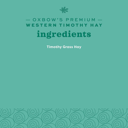 Western Timothy Hay, Guinea Pig Hay, Small Pet Bunny Supplies, All Natural Grass for Guinea Pig, Bunny, Chinchilla & Hamster,  Rabbit Supplies for Bunnies, 90 Oz. Bag