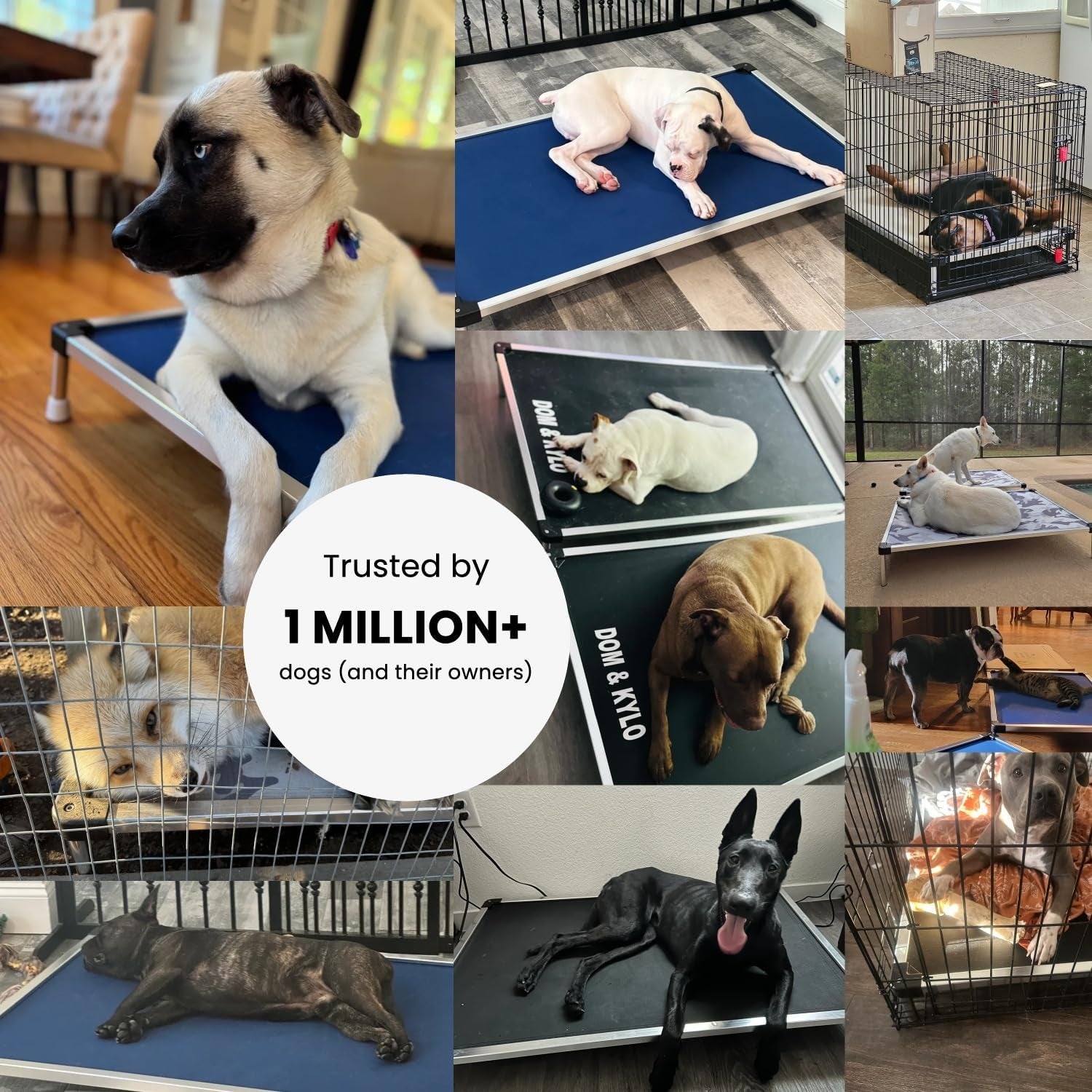 Chew Proof Elevated Cooling Dog Bed - Made for Aggressive Chewers, Virtually Indestructible, Ripstop Fabric with No Padding, Pre-Assembled - Small, Seasonal (Old) Black