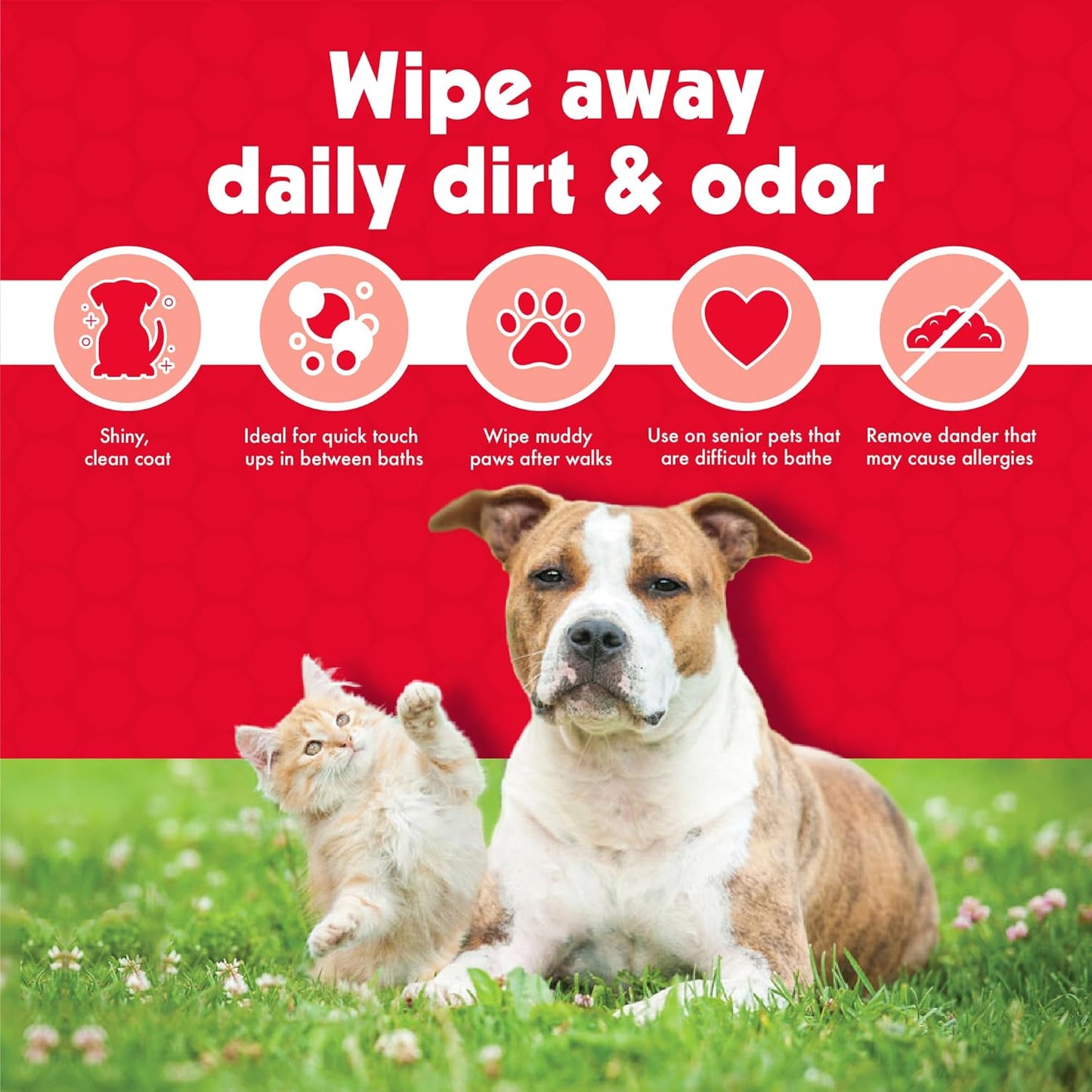 Pet Wipes for Dogs and Cats, 200 Large Wipes - Removes Dirt & Odor like Washing Hands - Cleans Ears, Face, Butt, Eyes Area - Convenient, Ideal for Home or Travel - 2 Packs of 100 Wipes