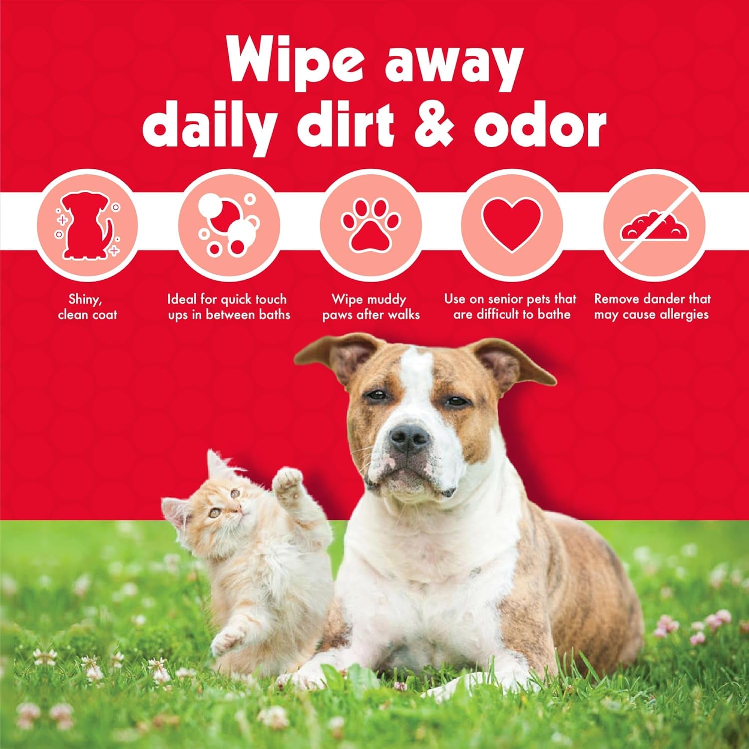 Pet Wipes for Dogs and Cats, 200 Large Wipes - Removes Dirt & Odor like Washing Hands - Cleans Ears, Face, Butt, Eyes Area - Convenient, Ideal for Home or Travel - 2 Packs of 100 Wipes
