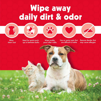 Pet Wipes for Dogs and Cats, 200 Large Wipes - Removes Dirt & Odor like Washing Hands - Cleans Ears, Face, Butt, Eyes Area - Convenient, Ideal for Home or Travel - 2 Packs of 100 Wipes