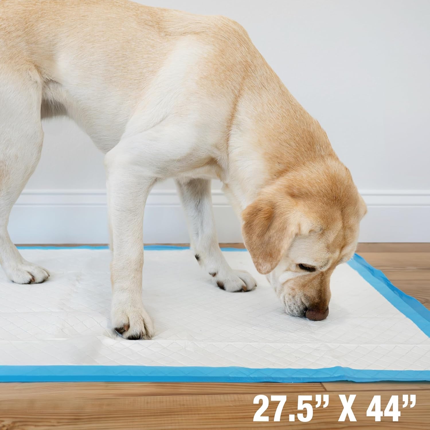 Wee-Wee Superior Performance Pee Pads for Dogs with Runoff Barrier Edge Guard Protection, Puppy & Dog Potty Training Pads, Housebreaking Supplies, 27.5" X 44" (18 Count)